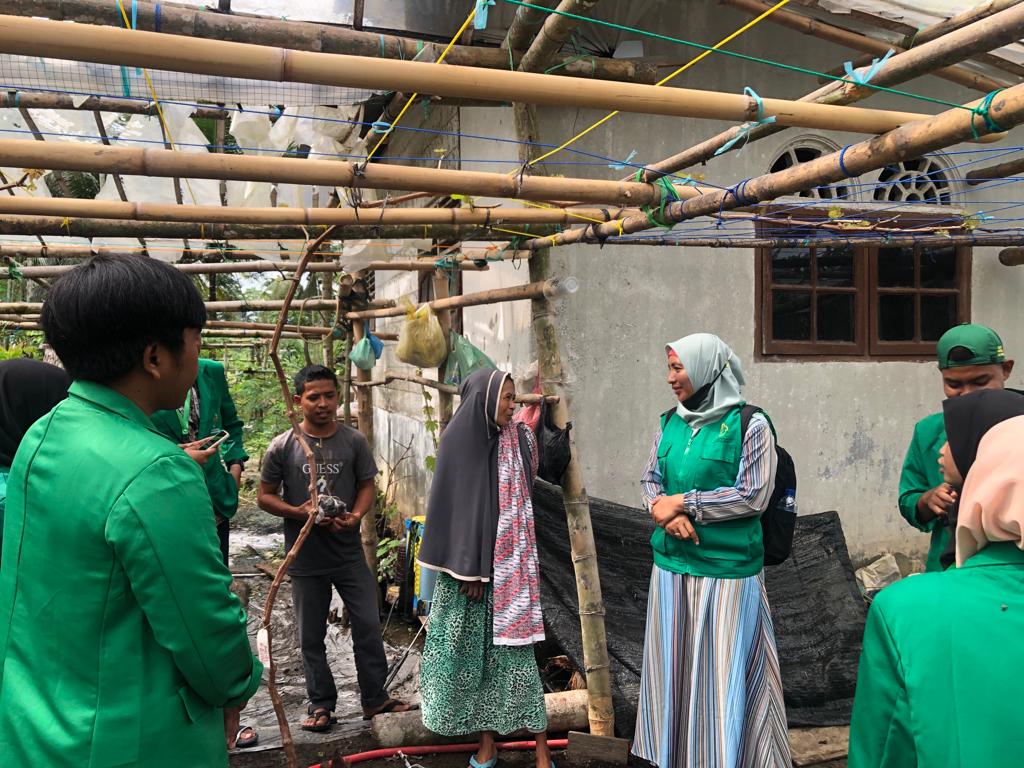 Mahasiswa KKN-PPM Kelompok 38 Melakukan Kunjungan ke Kebun Anggur di Pulo Barat