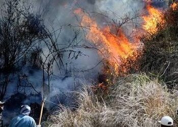Tragedi Karhutla TNBTS: 5 Relawan Gugur, 1 Alami Luka Bakar Berat