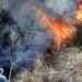 Tragedi Karhutla TNBTS: 5 Relawan Gugur, 1 Alami Luka Bakar Berat