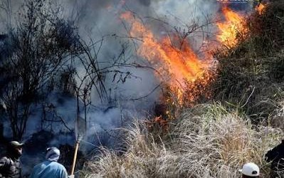 Tragedi Karhutla TNBTS: 5 Relawan Gugur, 1 Alami Luka Bakar Berat